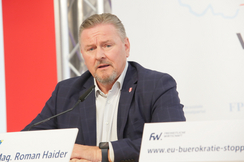 FPÖ-EU-Parlamentarier Roman Haider.